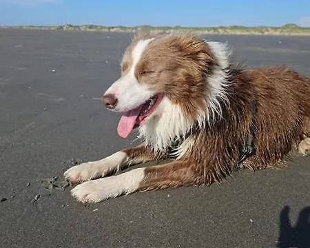 La Rivière Des îles Hébergement de vacances Ponthoile