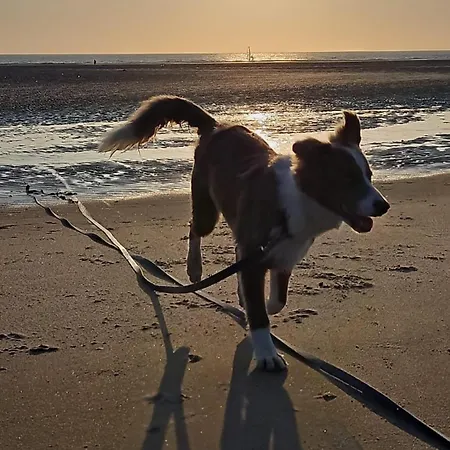Hébergement de vacances La Rivière Des îles